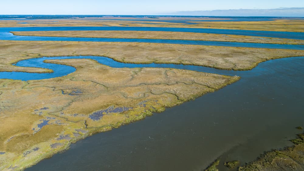 An aerial view of a river and surrounding salt marsh