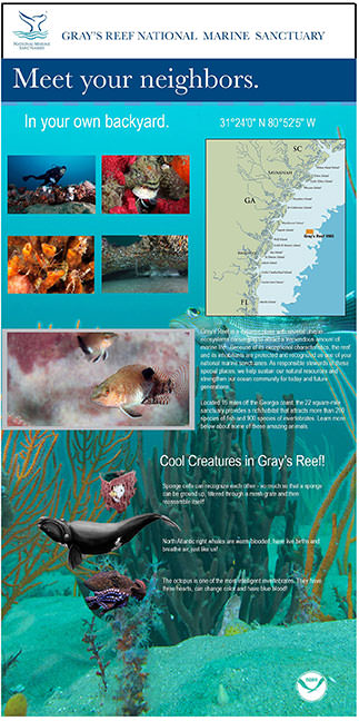Gray's Reef Mobile Exhibit - Panel 2