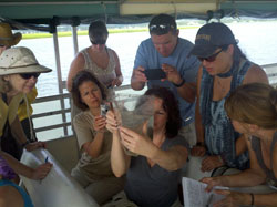Jacqui Toner holds the catch container while Sharon Butler, Kerry Carter, Joseph Denato, Kathryn Paxton and Patty Matthews observe; with Kim Morris-Zarneke ready to snap the photo behind them