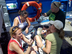 Melissa Niemi, Kathryn Paxton, Patty Matthews and Chandra Westafer test the waters on the aft deck of the RV Savannah
