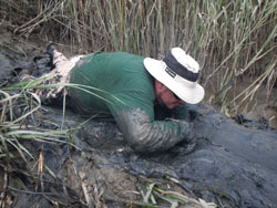 Brian Nicholas bravely crawls through the thick marsh mud