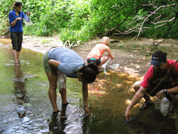 Teachers collect their first water sample of the week at Shoal Creek near metro Atlanta, GA