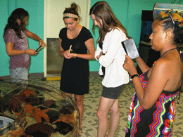 Teachers are drawn to a touch tank of seastars and sea urchins