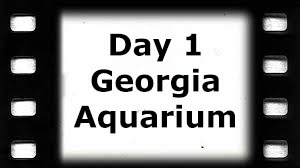 Day 1, Georgia Aquarium