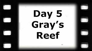 Day 5, Gray's Reef