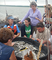 Learning marine species after trawling Wilmington River in Savannah