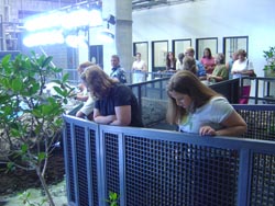Behind the Scenes at Georgia Aquarium
