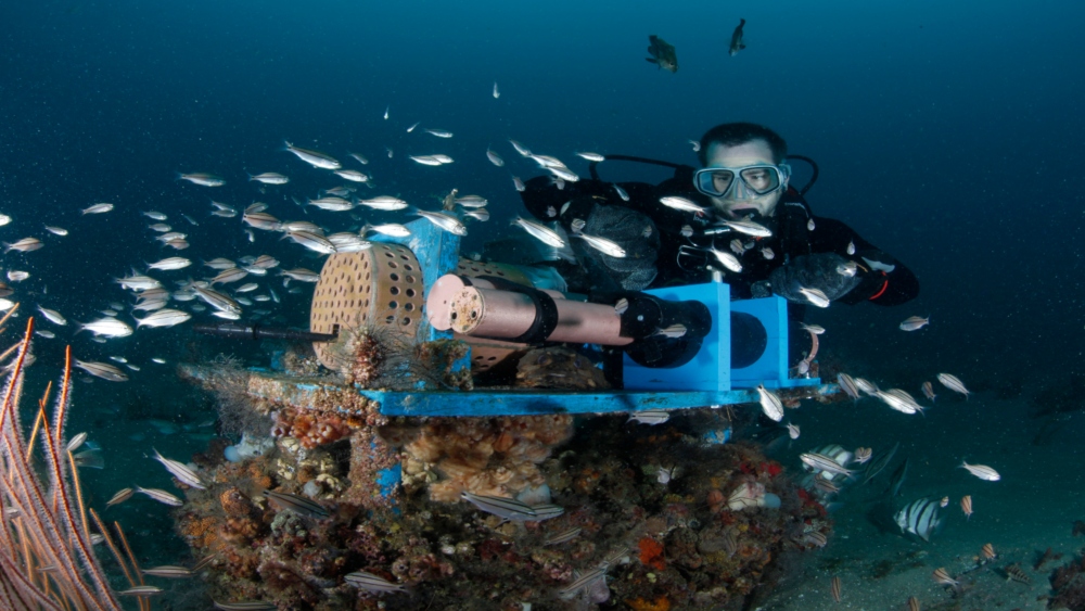 A scuba diver lays a white square on an ocean floor for a scientific experiment.