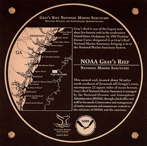 Gray's Reef marker image