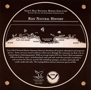 Reef Natural History marker image