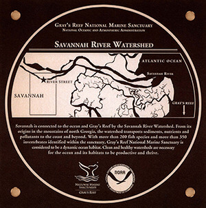 Savannah River Watershed marker image