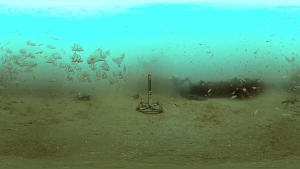A 360-degree, underwater photo of a sand-covered seafloor and a school of fish swimming.