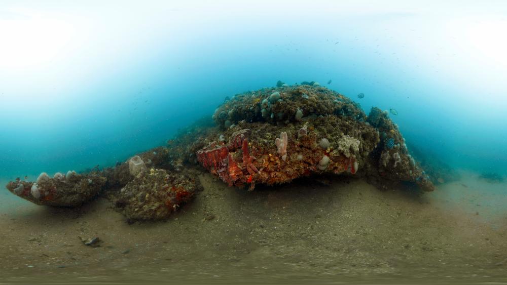 A 360-degree, underwater photo of a rock ledge and undercut with marine life growing on it.