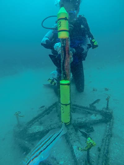 Diver on their knees on the ocean floor, handling an instrument with a large square base that is stationed on the seafloor.