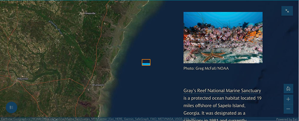 sea turtle story map