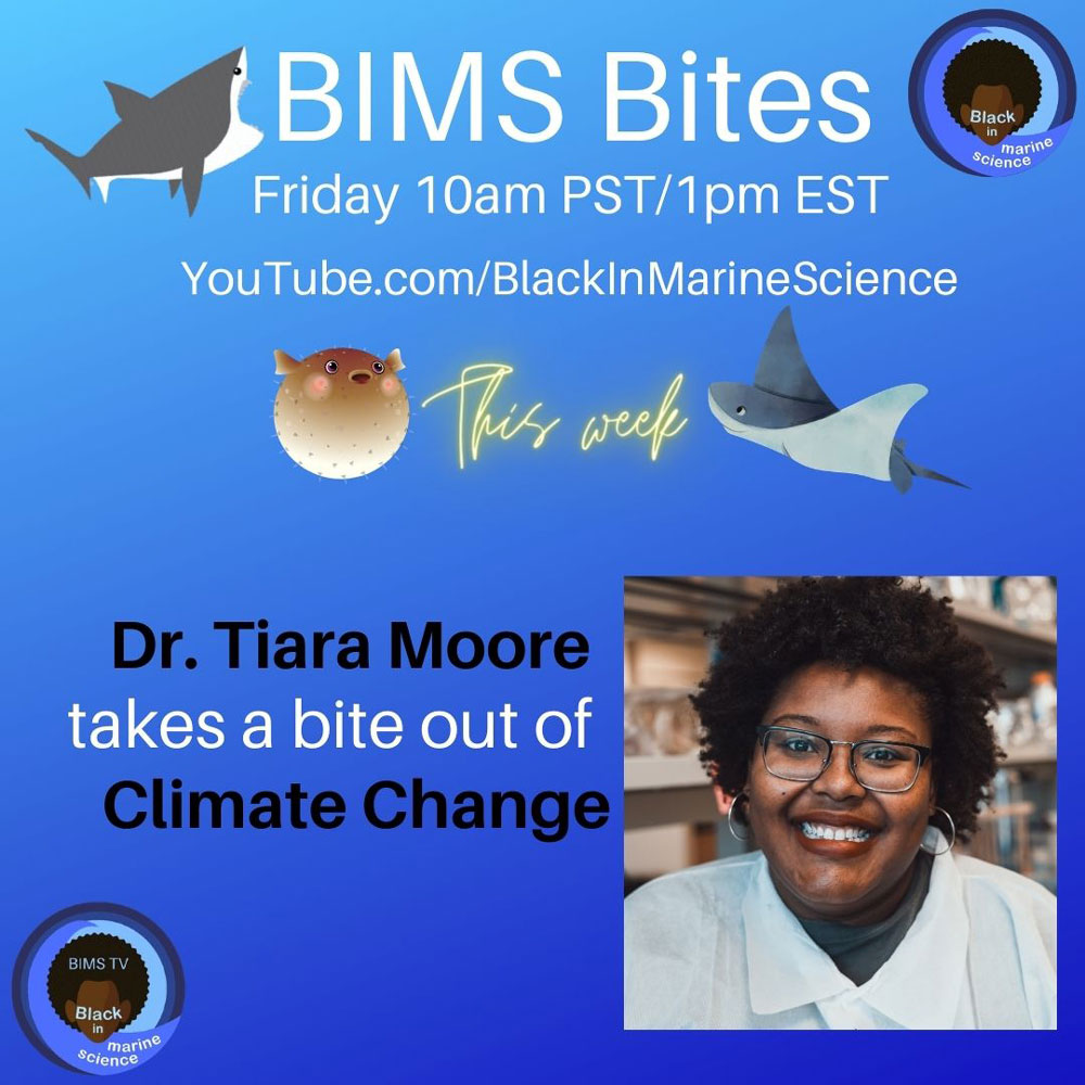 A blue graphic with a person's face with text reading: BIMS Bites Friday 10am PST/1pm EST Youtube.com/BlackInMarineScience. This week. Dr. Tiara Moore takes a bite out of Climate Change