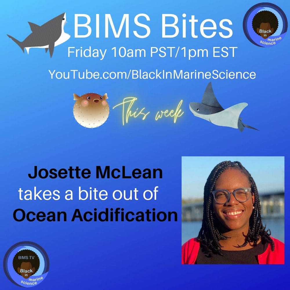  A blue graphic with a person's face with text reading: BIMS Bites Friday 10am PST/1pm EST. Youtube.com/BlackInMarineScience. This week. Josette McLean takes a bite out of Ocean Acidification