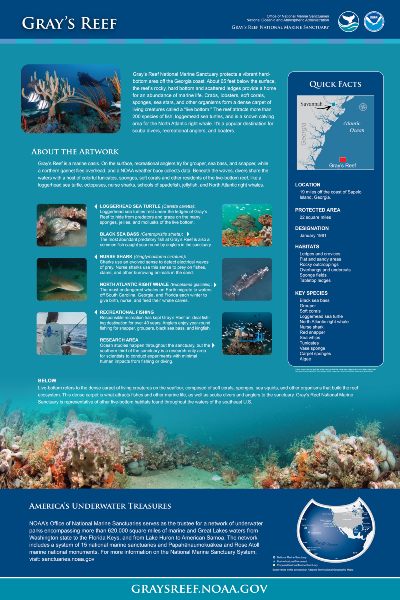 An informational sheet about the fishing and diving at Gray's Reef National Marine Sanctuary