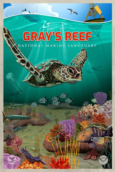 An illustration of an underwater scene with a sea turtle, fishes, angler and scuba divers at the surface of Gray's Reef National Marine Sanctuary.