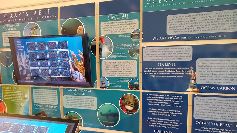 A wall of blue-colored panels with information about life on an ocean reef.