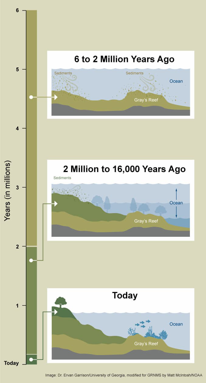 An illustration showing the three panels with a rising ocean and continental shelf formation over the last six million years.
