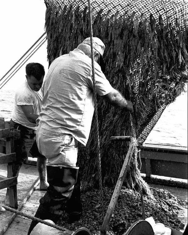 Two people work to empty a fishing net on the deck of a boat.
