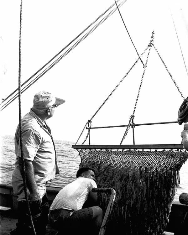 A person stands on the deck of a boat and looks up at a fishing net hoisted above them.