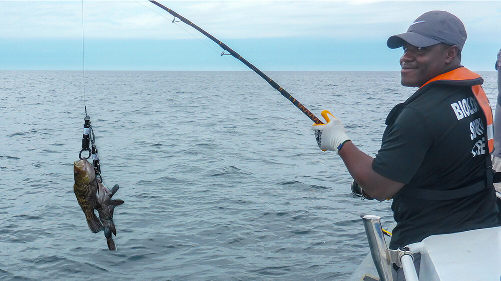 A person holds a fishing pole over the side of a boat with a fish attached to the other end.