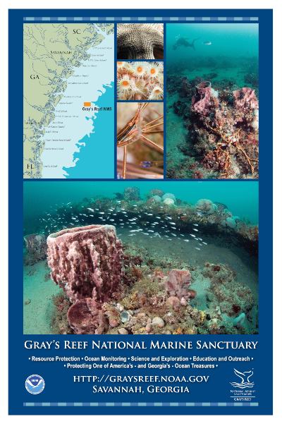 A poster with a compilation of underwater reef pictures taken at Gray's Reef National Marine Sanctuary.