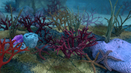 A scene from the digital field guide to Gray's Reef. 