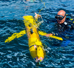 Team Ocean Volunteer Randy Rudd helping in the water.  