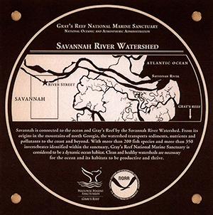 Savannah River Watershed