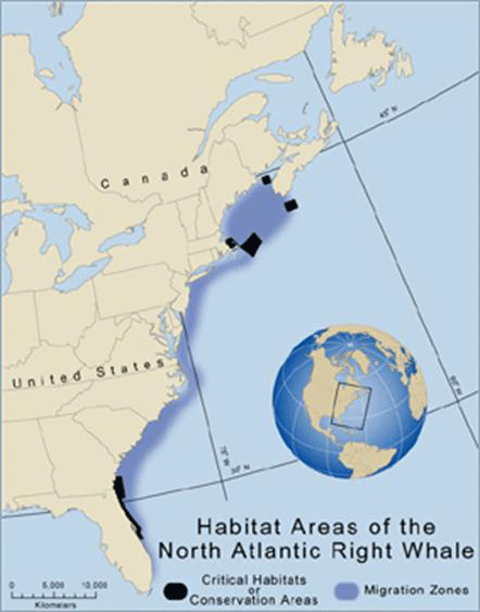 Habitat Areas of the North Atlantic Right Whale