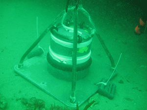 Diver deployed hydrophone