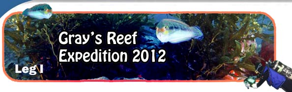 Gray's Reef Expedition 2012