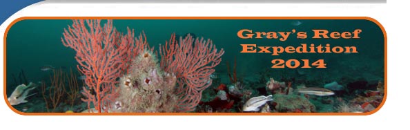 Gray's Reef Expedition 2014