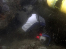 Diver using hand tools to 
         excavate around the bone