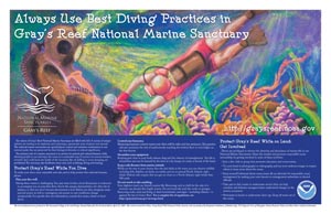 Best Diving Practices Poster
